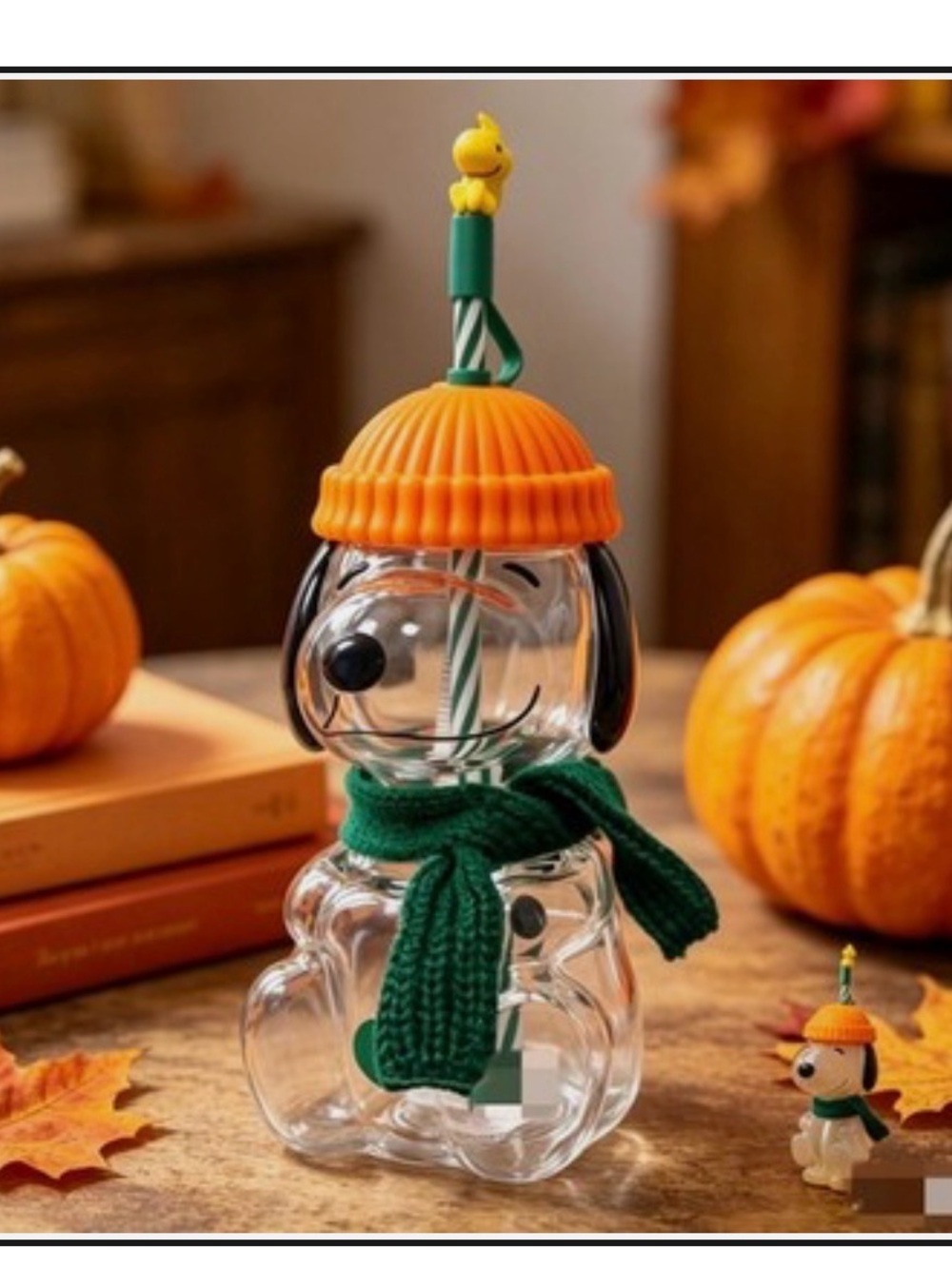 Clear Snoopy-Style Glass Dog Water Bottle with Orange Beanie and Green Scarf